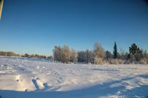 Rovaniemi Prints: Winter landscape in Kiruna, Lapland, northern Sweden. Photographed in January