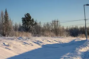 Rovaniemi Prints: Winter landscape in Kiruna, Lapland, northern Sweden. Photographed in January