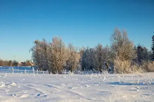 Rovaniemi Prints: Winter landscape in Kiruna, Lapland, northern Sweden. Photographed in January