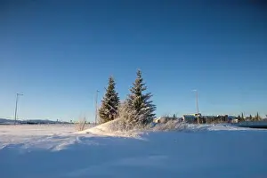 Rovaniemi Prints: Winter landscape in Kiruna, Lapland, northern Sweden. Photographed in January