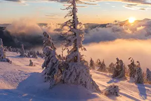 Wonderful Prints: Winter landscape. Sunrise in the mountains