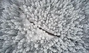 Winter path in forest above top drone view. Cold weather theme