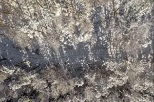 Tree Tops Prints: Winter path leading through a white