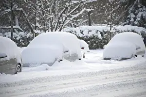 Wintery Prints: Winter scene where several cars heavily cloaked under a thick layer of snow