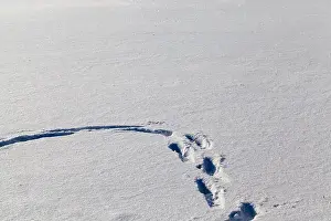 Wintery Prints: winter season with snow with damage