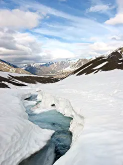 Melt Prints: Winter snow begins melting in Denali National Park and Preserve June 12