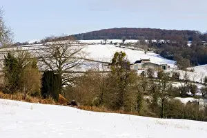 Cotswolds Prints: Winter snow on the Cotswolds at Highfold Farm near Painswick, Gloucestershire