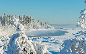 Hoar Prints: Winter Wilderness Landscape along the Tanana River, Alaska