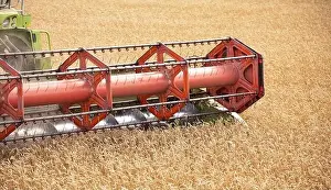 Witness the Harvest: A Stunning Drone Shot of a Wheat-Collecting Combine in Action
