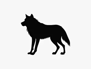 Wolf Prints: Wolf silhouette vector animal isolated illustration. Howl wolf icon silhouette background
