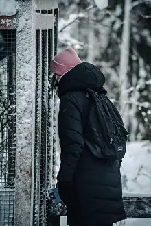 Boreal Prints: Woman in black coat looking in snowy animal enclosure in Ranua, Lapland