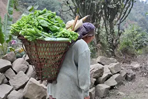 Solider Prints: Woman carrying vegetables on her back, Kohima village, Nagaland, India