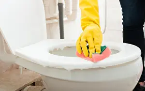 Cleanliness Prints: Woman cleans the bathroom toilet at home in close-up view
