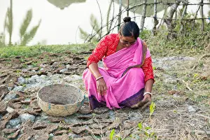 Saree Prints: A woman collecting dried cow dung used as a biofuel for cooking