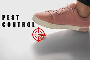 Sneaker Prints: Woman crushing cockroach with feet on white background, closeup. Pest control