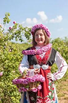 Picking Prints: Woman dressed in a Bulgarian traditional folklore costume picking roses in a garden