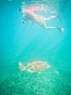 Generation X Prints: woman films underwater while swimming with sea turtle