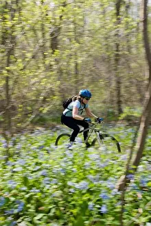 Helmets Prints: A woman mountain bikes through bluebell flowers.; Great Falls State Park, Virginia
