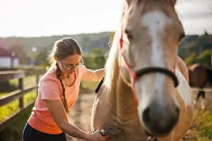 Mane Prints: Woman rancher brushing and grooming horse at paddock. Animal care of horse at farm
