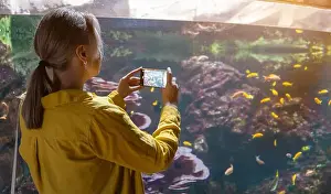 Female Animal Prints: Woman recording video or photographing fishes in the aquarium