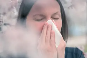 Handkerchief Prints: Woman sneezing in front of blooming cherry tree in spring allergy concept, selective focus
