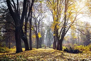 Almaty Prints: Woman standing at forest with yellow autumn trees