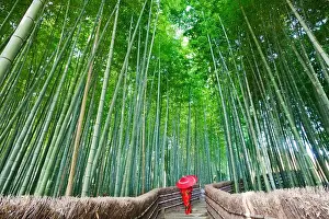 Arashiyama Prints: Woman walking in a bamboo forest