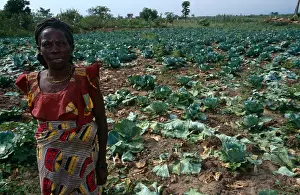 Villager Prints: Woman working on vegetable farm. Uganda