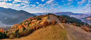 Top Tree Prints: A wonderful autumn landscape. Multicolored conifers and deciduous trees