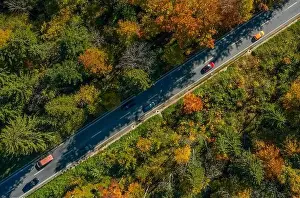 Wonderful colors of the autumn forest crossed by a diagonal asphalt road with driving cars