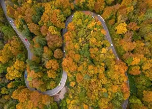 Wonderful drone shot from above at a colorful forest with many driving cars in autumn season