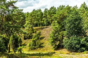 Weave Prints: A wonderful hike through the unique and colourful landscape of the Osterheide - Bispingen - Lower Saxony - Germany