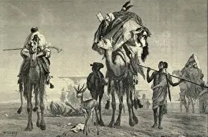 wood engraving of A Caravan of Camels in the desert From the book Picturesque Palestine