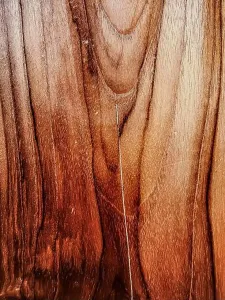 Polished Prints: Wood texture background, natural construction material and interior design