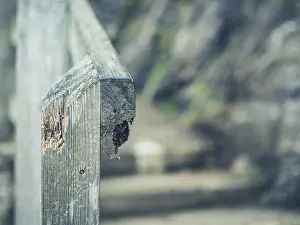 Banister Prints: A wooden banister outside in nature