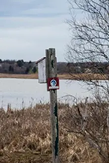 Riverfront Prints: Wooden birdhouse at Riverfront Park in Dieppe, New Brunswick, Canada