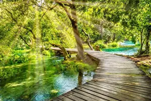 Sunrays Prints: Wooden boardwalk in the green forest of Krka National Park