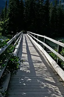 Coniferous Forest Prints: Wooden pedestrian bridge by Pyramid Lake, Jasper National Park, Alberta, Canada