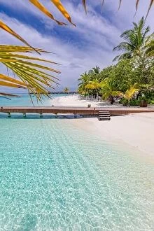 Images Dated 31st October 2019: Wooden pier bridge at tropical beach in the Maldives. Palm tree leaves with amazing sea lagoon