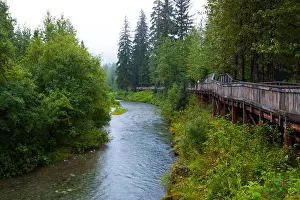 Viewing Prints: Wooden walkway overlooking Fish Creek in Hyder