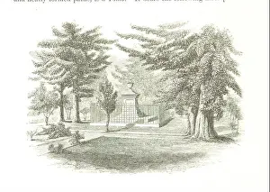 Peasant Prints: This work, written by Colesworthey Grant