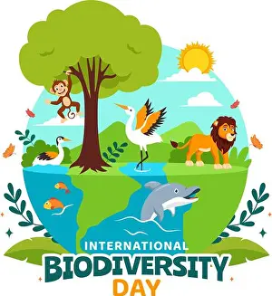 World Biodiversity Day Vector Illustration with Biological Diversity