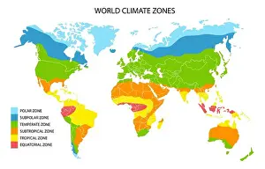 Temperate Prints: World climate zones map, vector geographic infographics