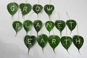 Green Energy Prints: World environment day. World Earth day concept