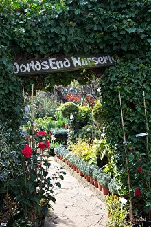 Chelsea Prints: World's End Nurseries, Chelsea