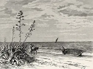 Ancient Book Prints: Wreck on the seashore near Tabarca