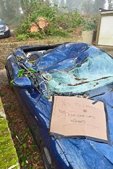 Tall Trees Prints: A written note on a car which was crushed by a fallen tree following a stormy night in late December 2025