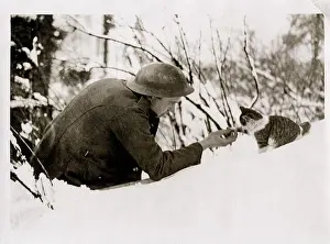 Global Prints: WW1 World War I - British soldier playing with kitten in the snow