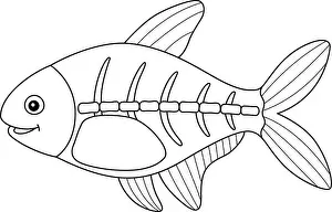 Colouring Book Prints: X-ray Fish Animal Coloring Page for Kids