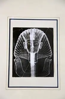 West Bank Prints: X-Ray image of Tutankhamun on the wall of Howard Carters House in Luxor